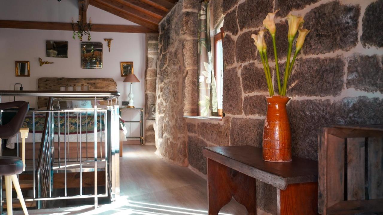 Casa La Trinidad - Ribeira Sacra Daire Nogueira De Ramuin Dış mekan fotoğraf